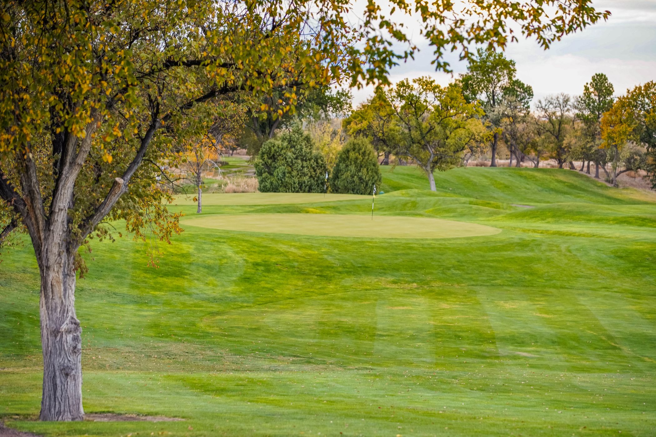 Course Gallery Quail Dunes Golf Course at Fort
